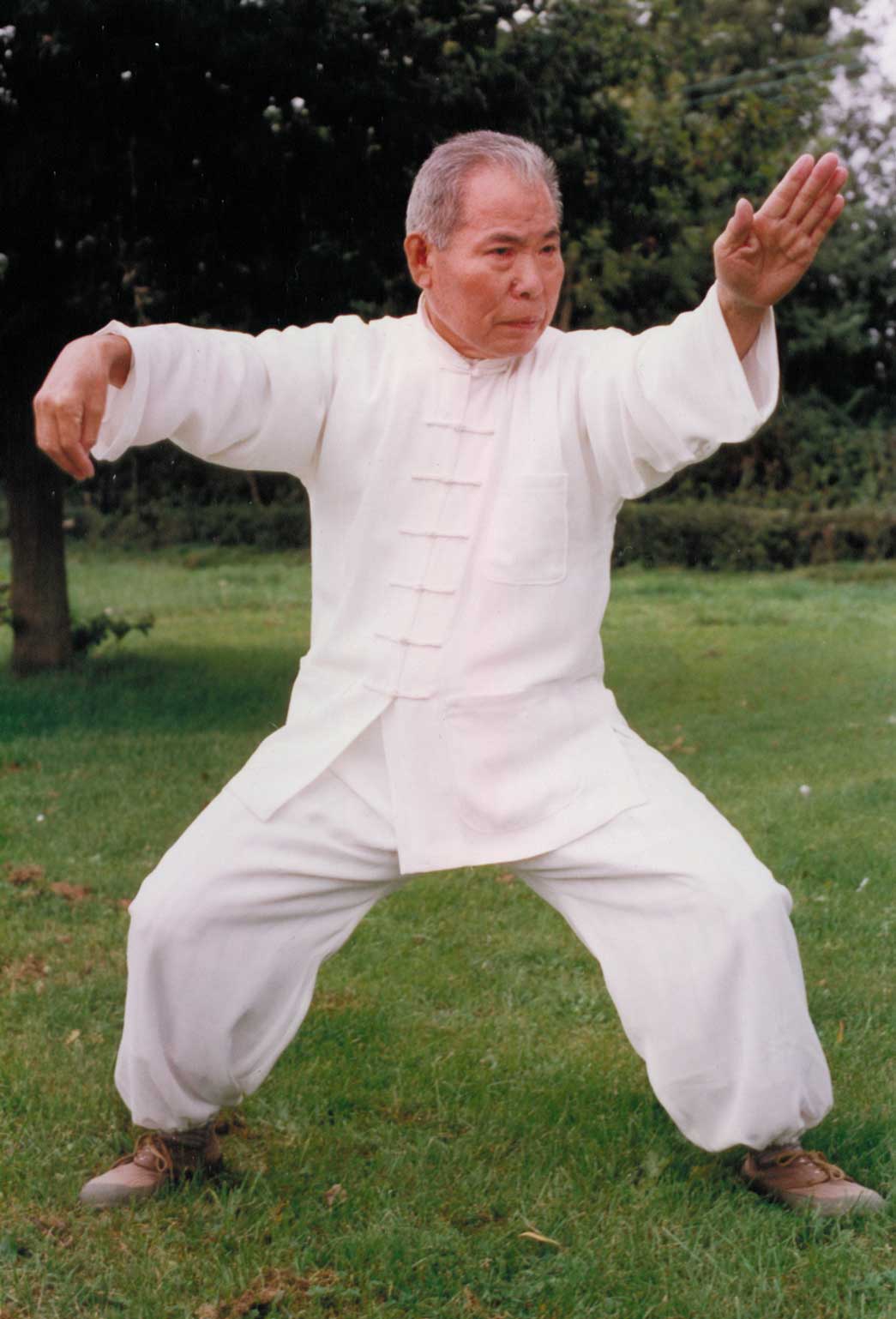 Grandmaster Wang Hao Da Performing Wu Style Taiji's Single Whip in 1999 in the UK