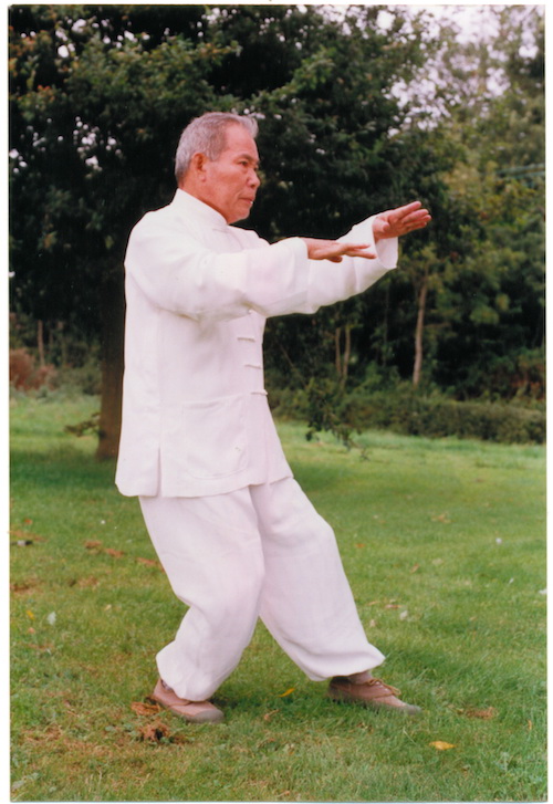 Master Wang Hao Da – Internal Principles in Push Hands