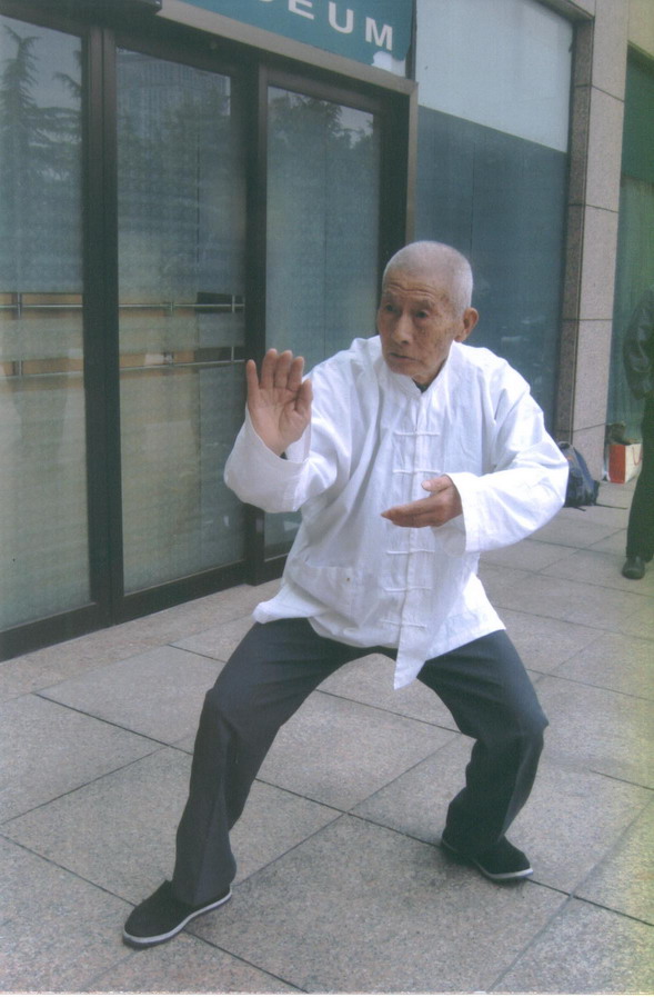 Master Dong Bin Performing Yang Style Taiji's Roll Back