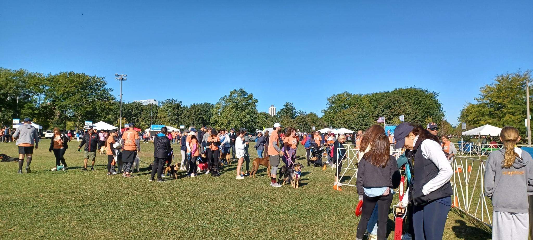 The "Fur Babies" Queue Up for the Obstacle & Agility Course!