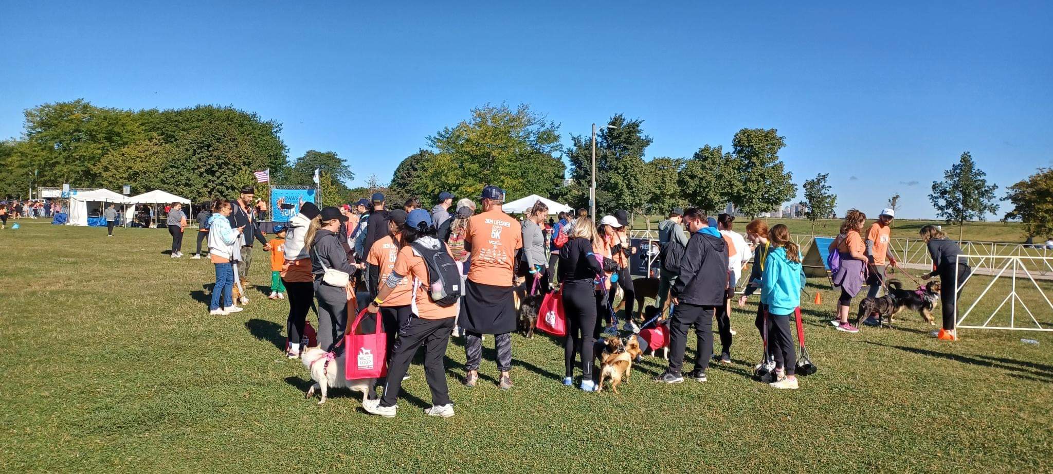 The PAWS 5K is a Great Family Outing, Especially for Doggos!